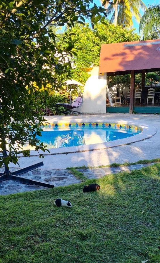 לאס טרנאס Villa Sonrisa Casa De Huespedes מראה חיצוני תמונה